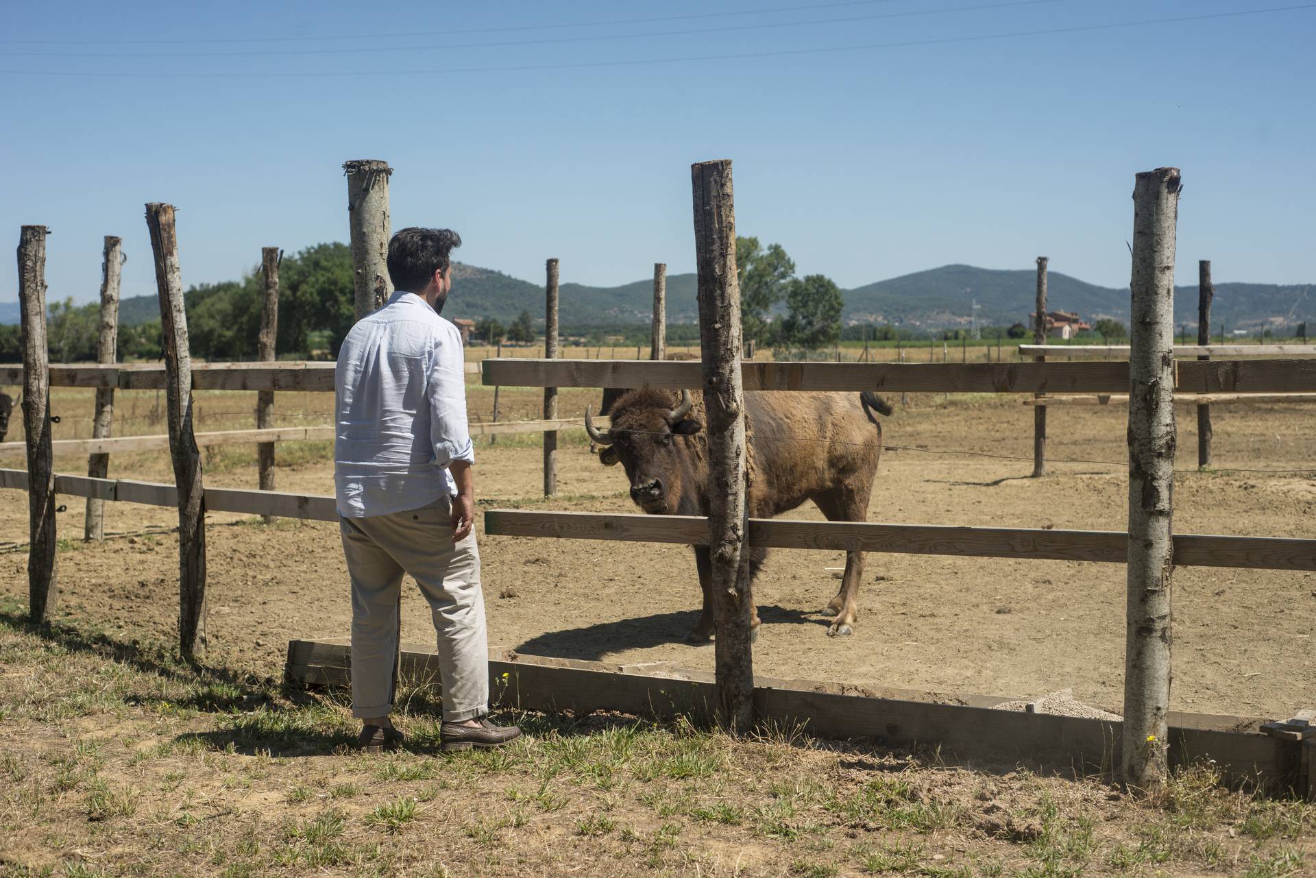 Terra dei Bisonti 5